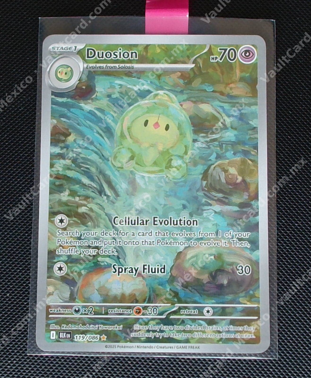Duosion 119/086 - (BLK) Inglés Illustration Rare