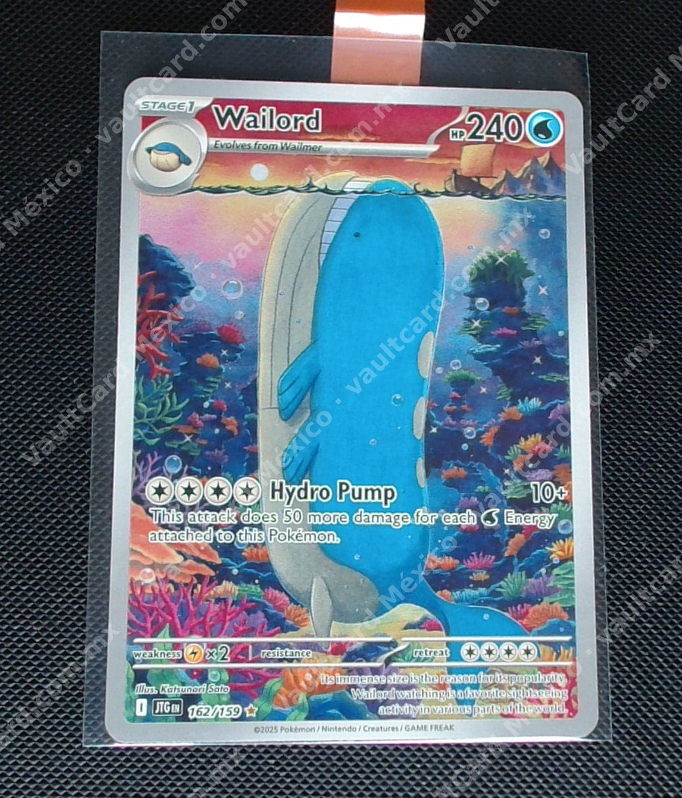 Wailord 162/159 - (JTG) Inglés - Illustration Rare