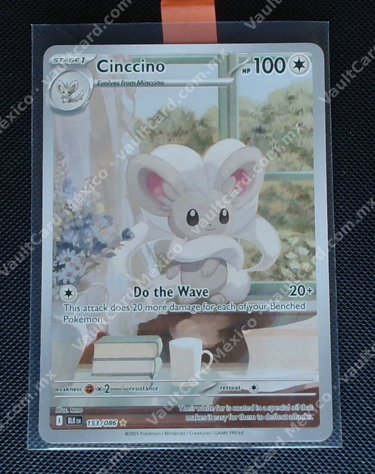 Cinccino 153/086 - (BLK) Inglés - Illustration Rare