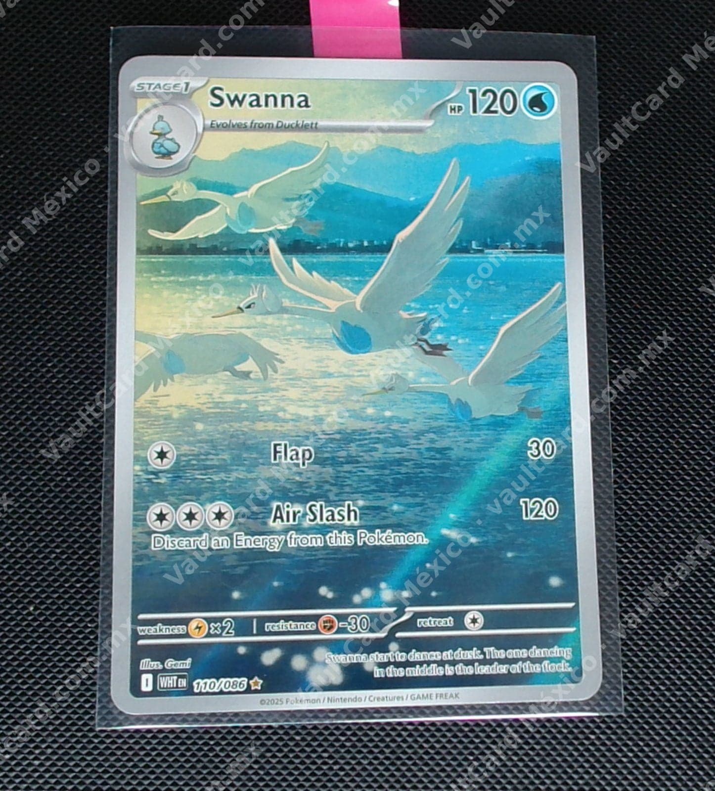 Swanna 110/086 - (WHT) Inglés - Illustration Rare
