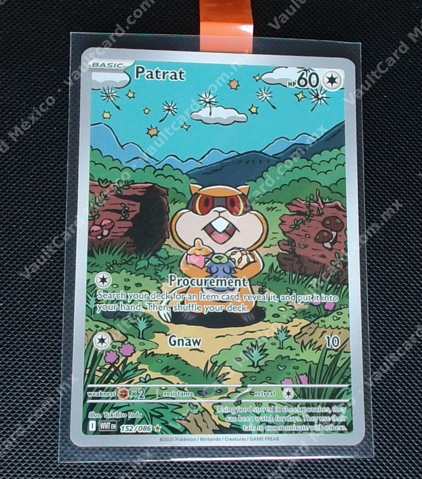 Patrat 152/086 - (WHT) Inglés - Illustration Rare