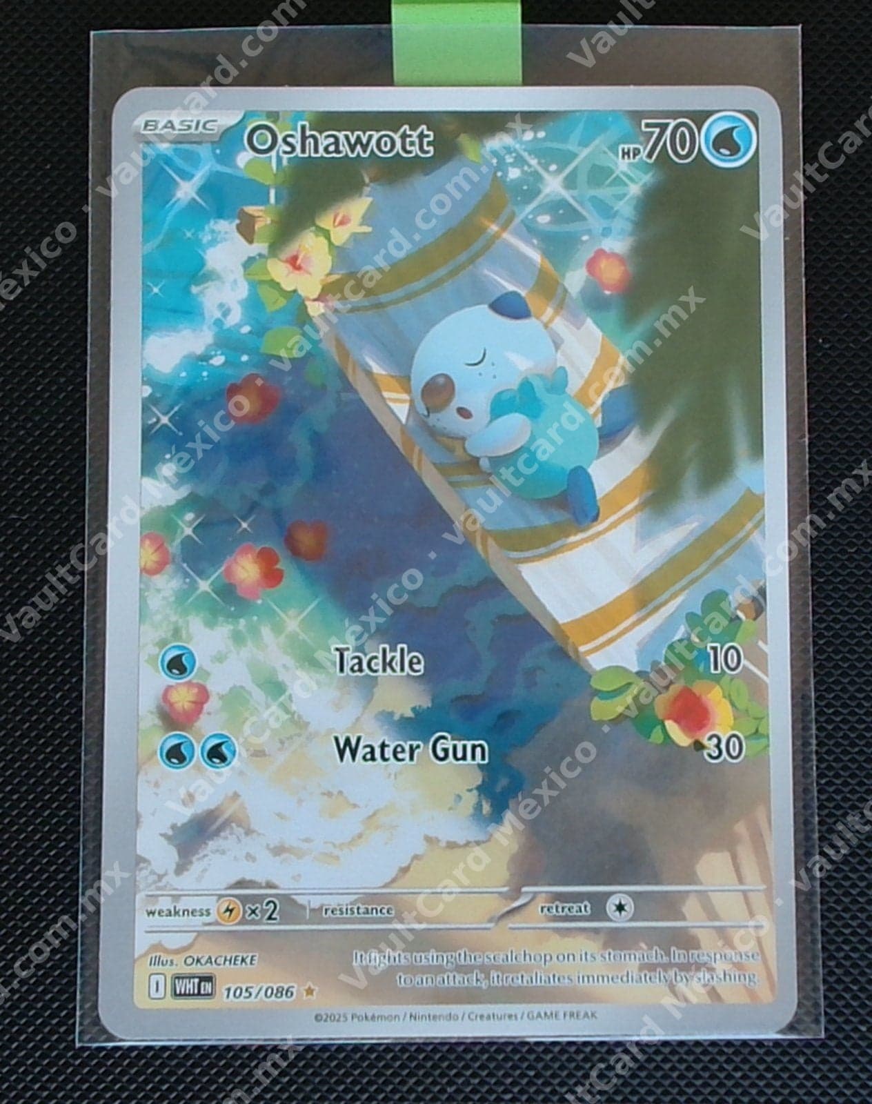 Oshawott 105/086 - (WHT) Inglés - Illustration Rare