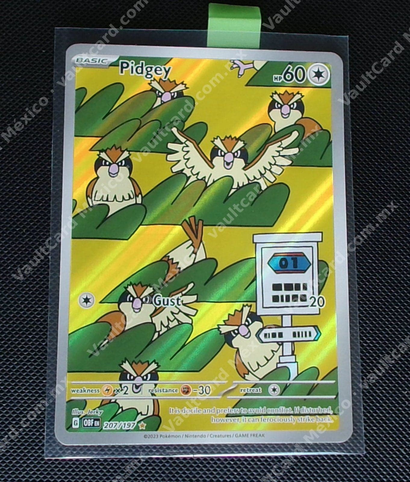 Pidgey 207/197 - Obsidian Flames (OBF) Inglés - Illustration Rare