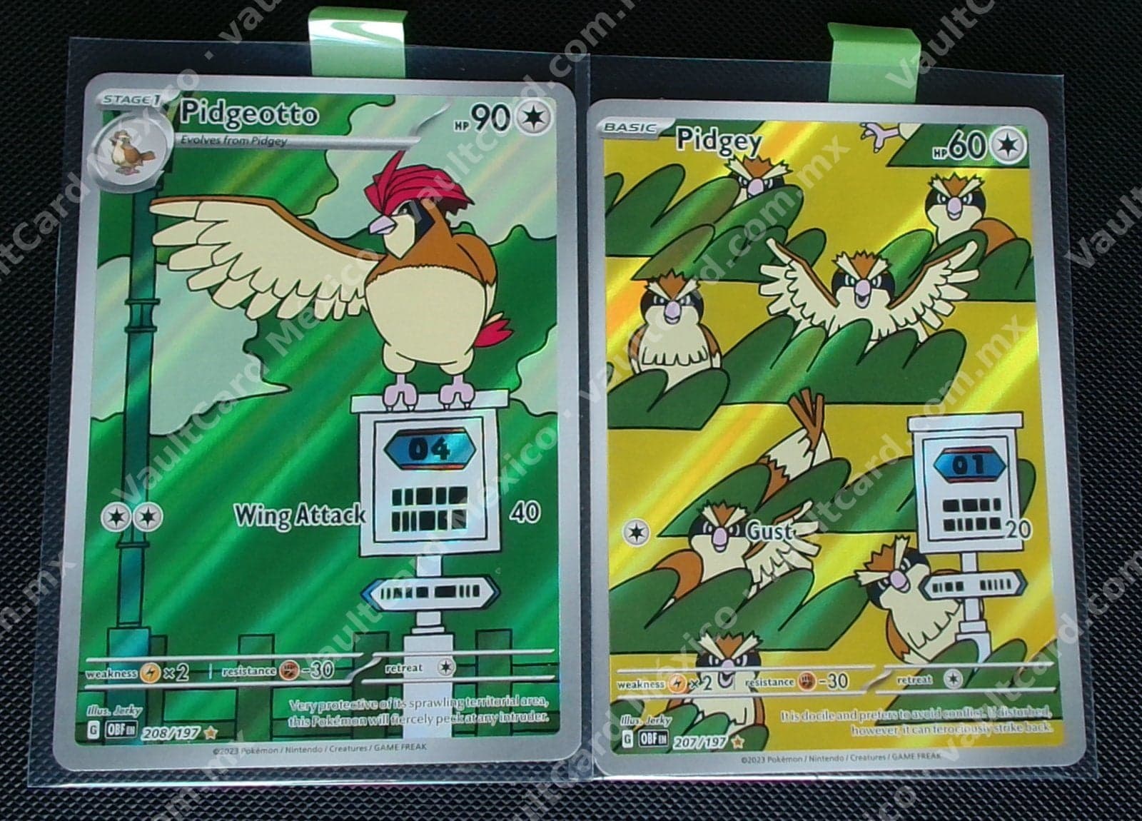 Pidgeotto 208/197 y Pidgey 207/197 - Obsidian Flames (OBF) Inglés