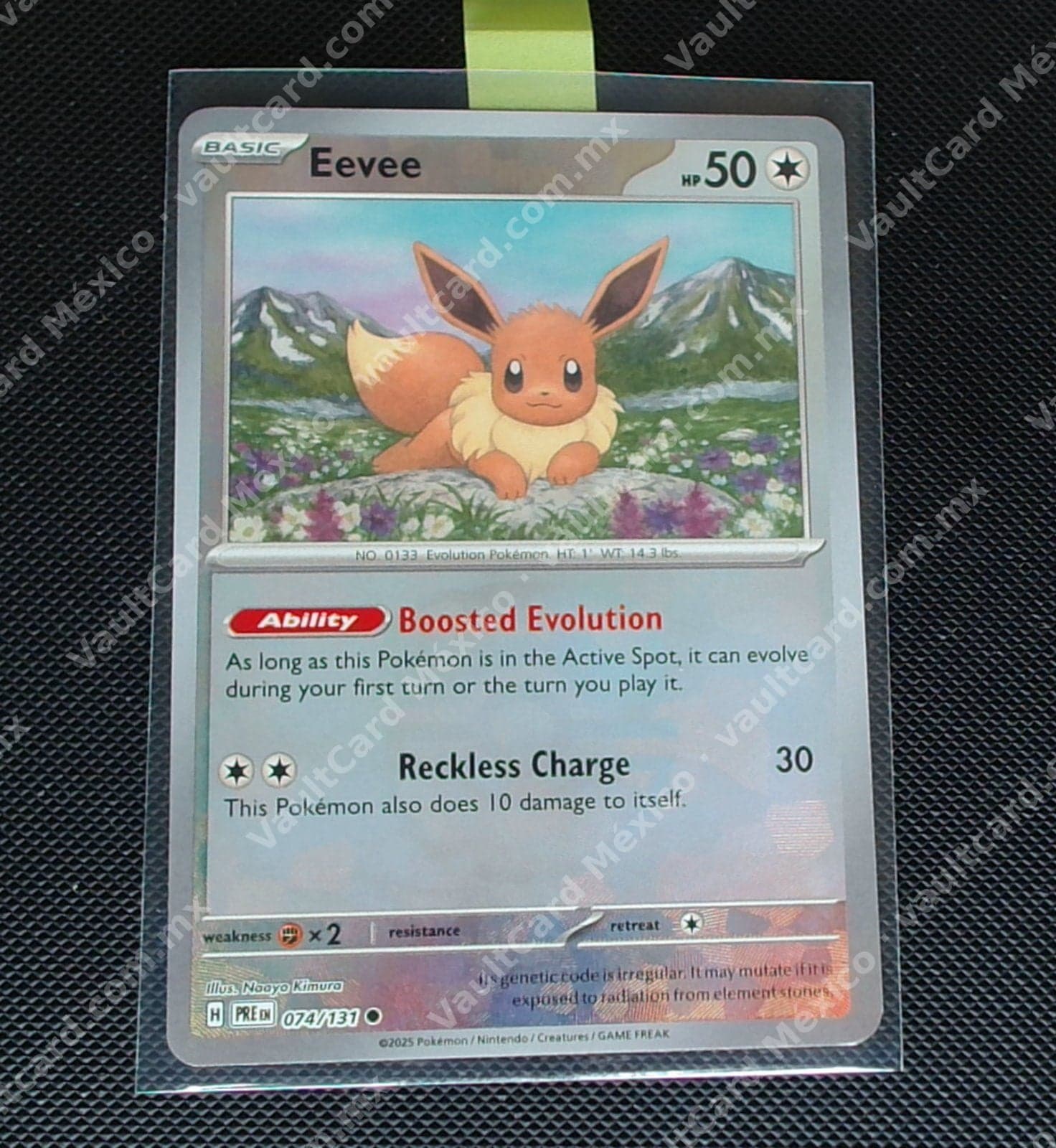 Eevee Master Ball 074/131 - (PRE) Inglés