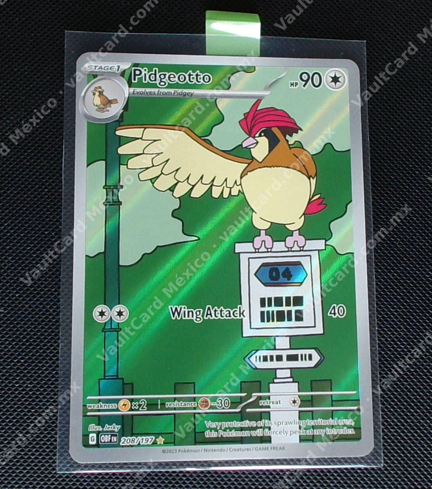 Pidgeotto 208/197 - Obsidian Flames (OBF) Inglés - Illustration Rare