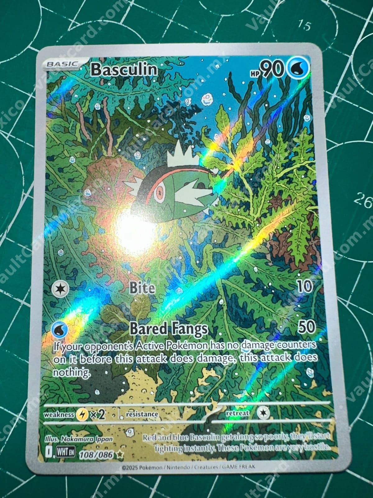 Basculin 108/086 (WHT) Illustration Rare - Inglés