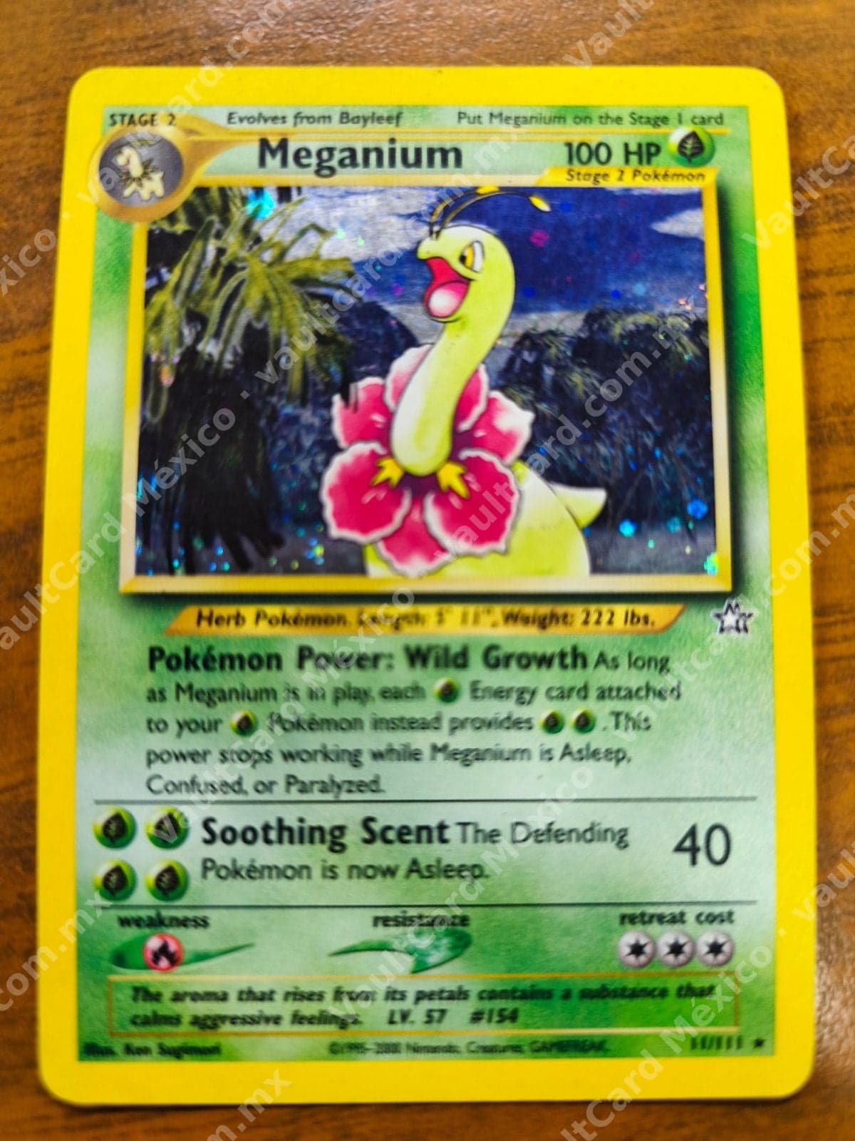 Meganium 11/111 Holo - Neo Genesis Inglés