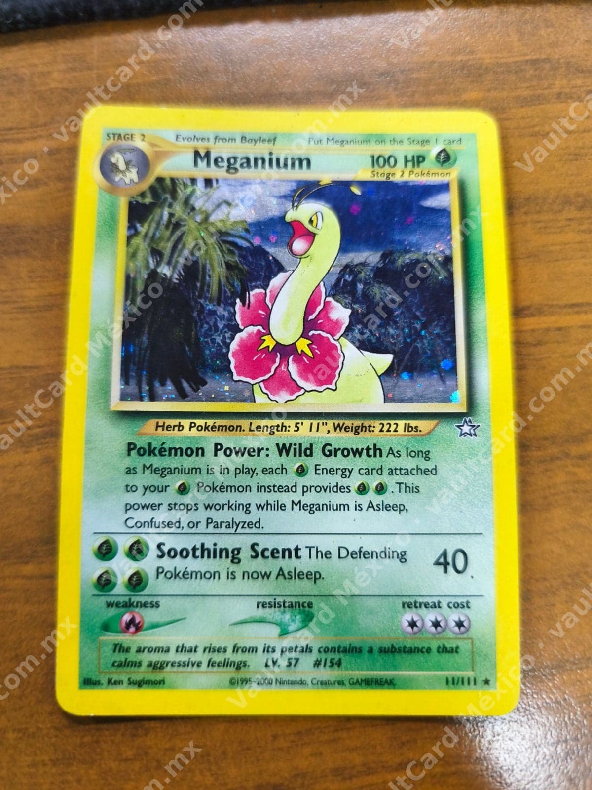 Meganium 11/111 - Neo Genesis Inglés Holo