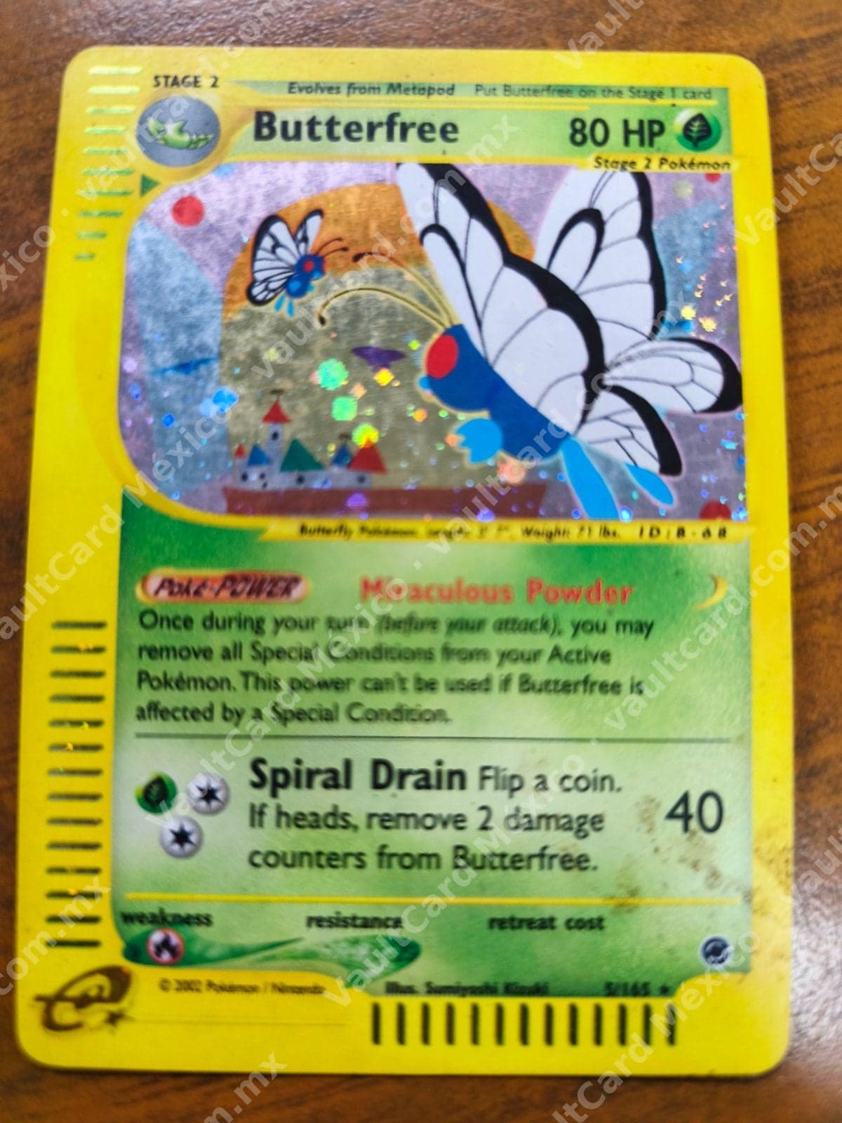 Butterfree 5/165 - Expedition Base Set Holo Inglés — foto 1