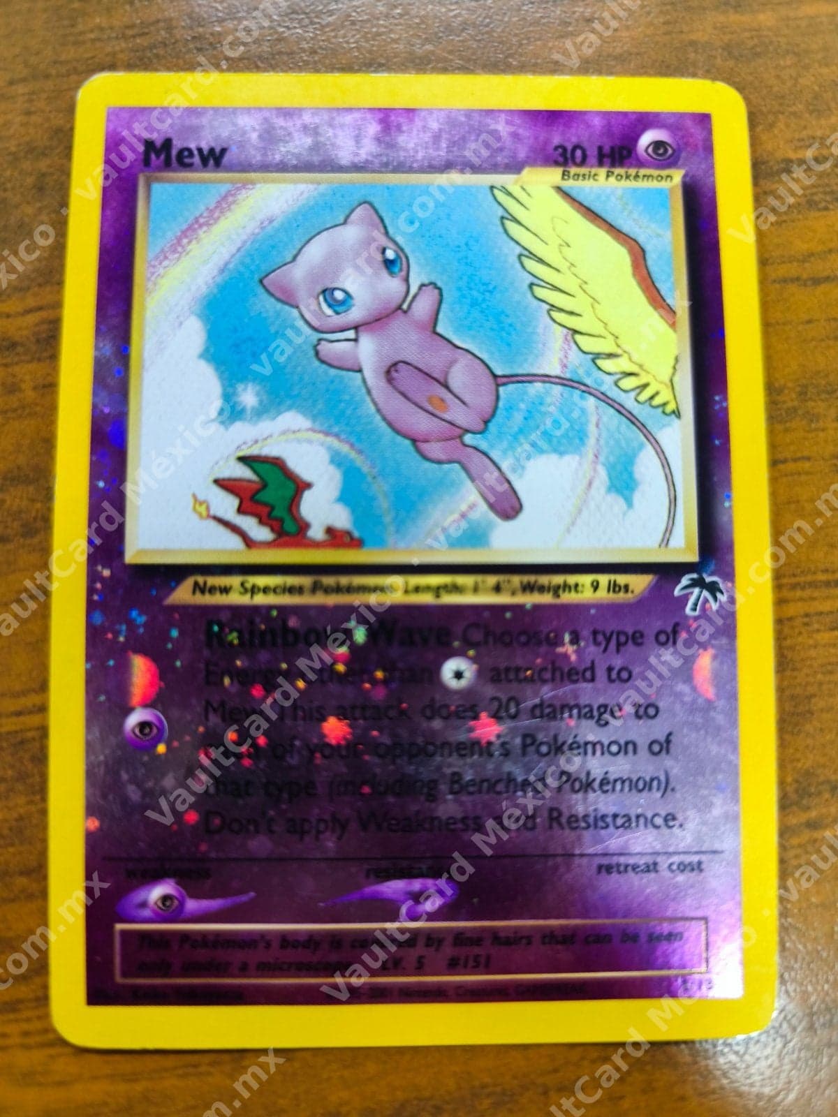 Mew 1/18 - Southern Islands Inglés Holo