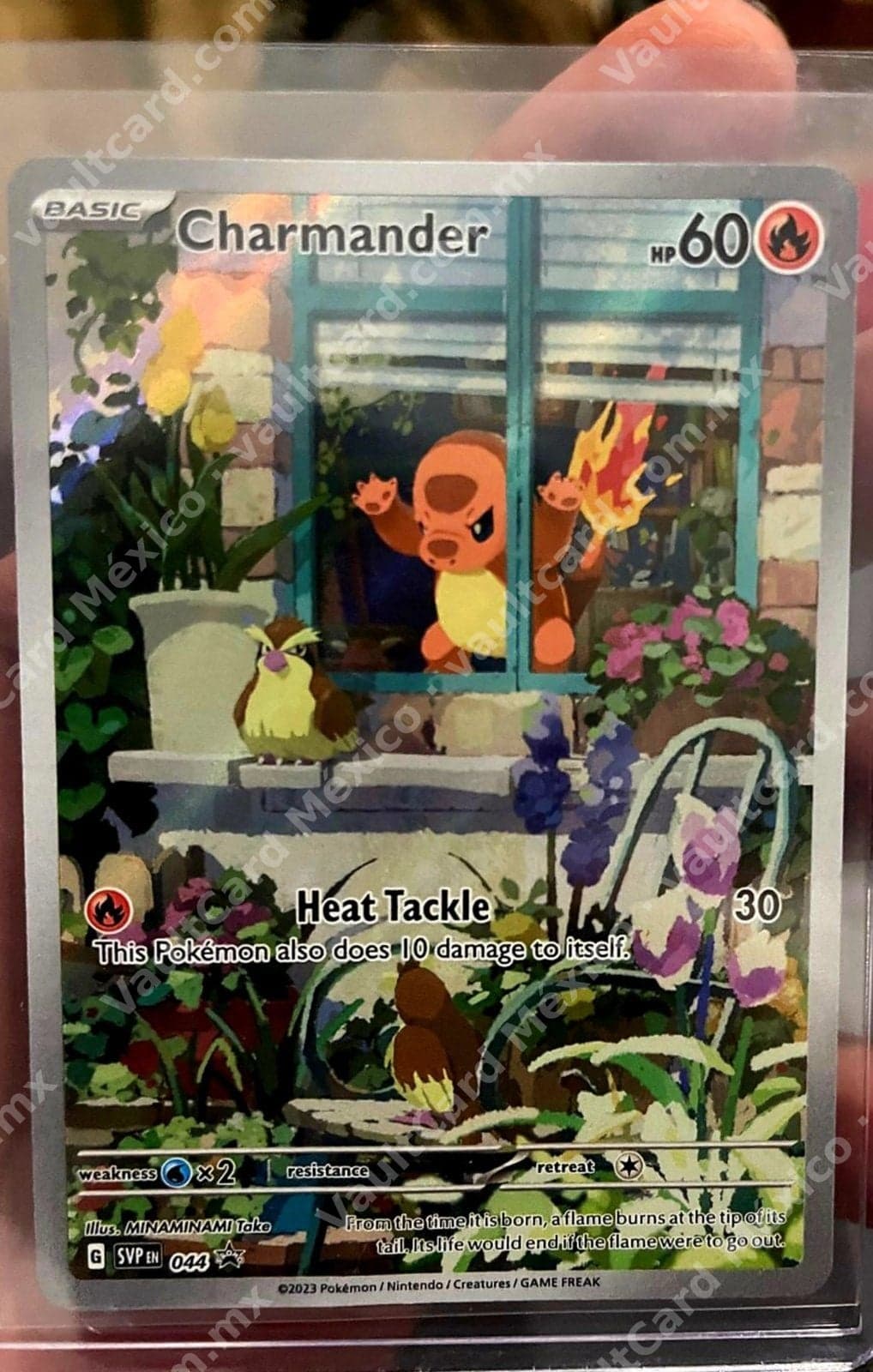Charmander 044 - Promo Black Star (SVP EN) Inglés