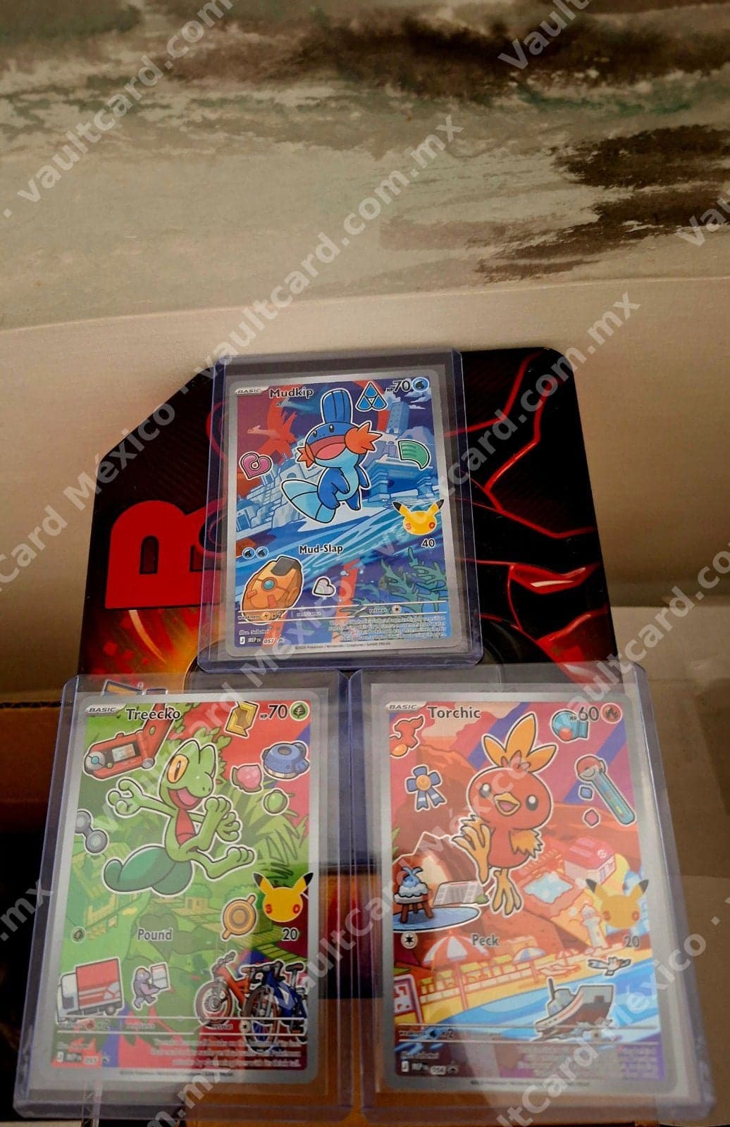 Lote Iniciadores Hoenn - Mudkip, Treecko y Torchic Illustration Rare (SSP) Inglés