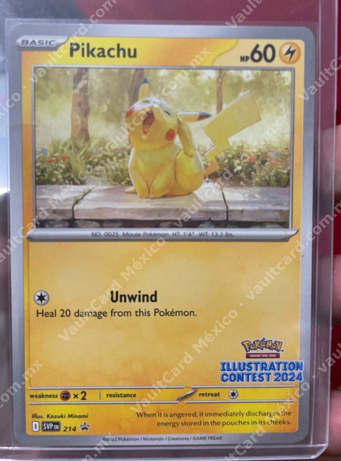 Pikachu 214 Promo SVP - Illustration Contest 2024 Inglés