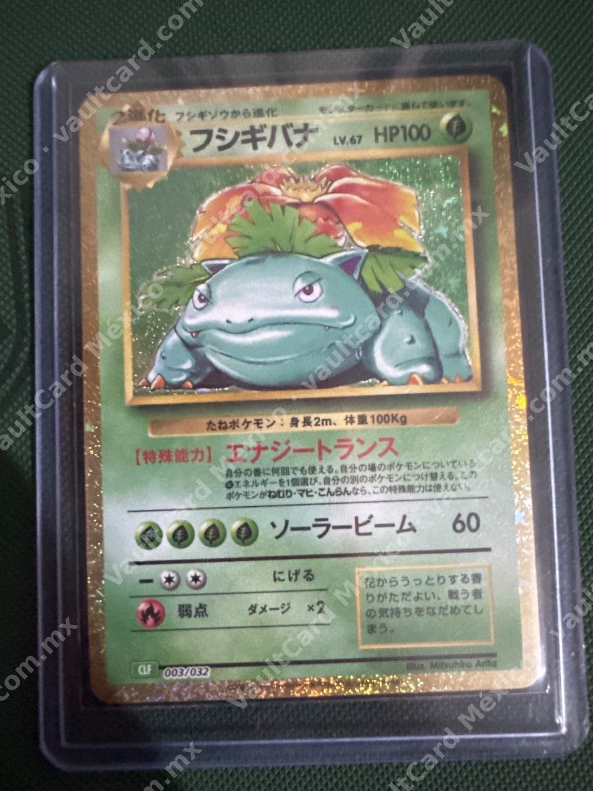 Venusaur (Fushigibana) 003/032 - CLF Japonés Holo