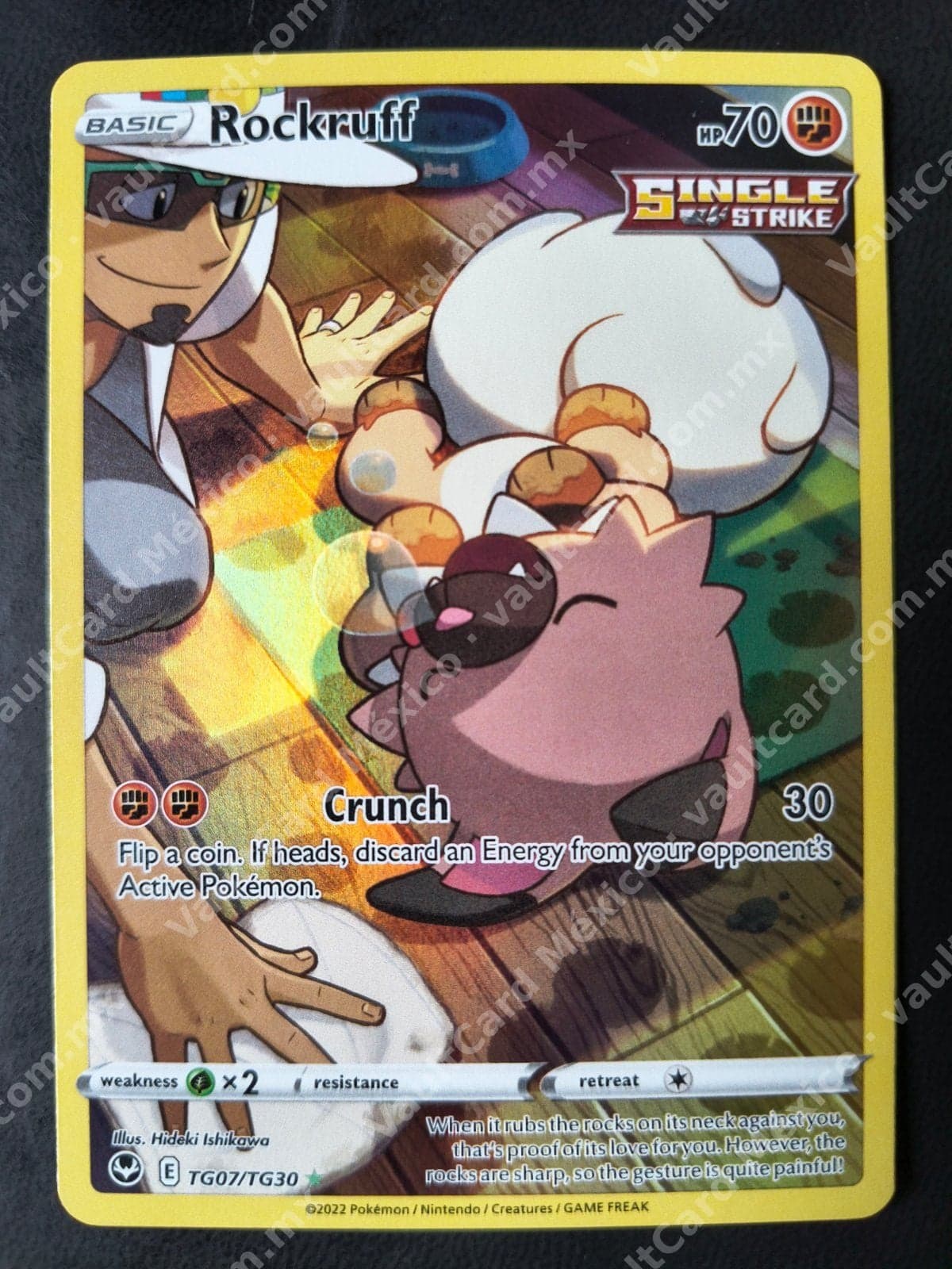 Rockruff TG07/TG30 - Silver Tempest Trainer Gallery Inglés