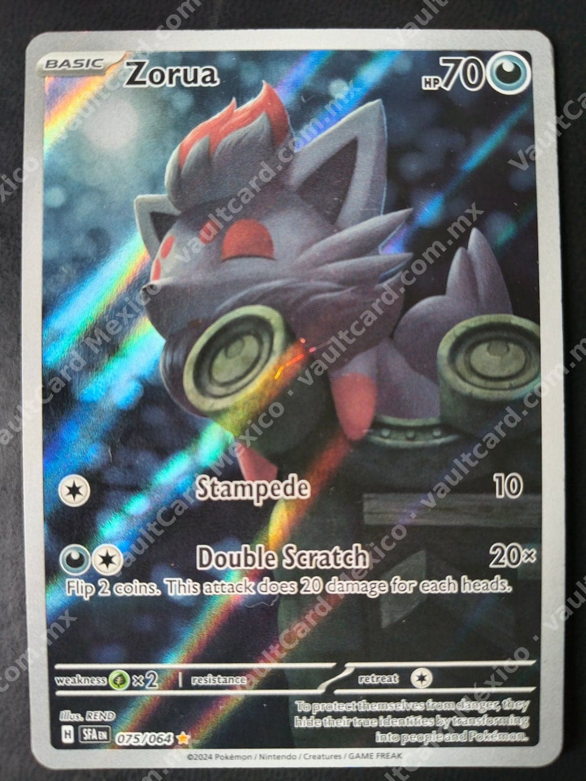 Zorua 075/064 - (SFA) Inglés - Illustration Rare