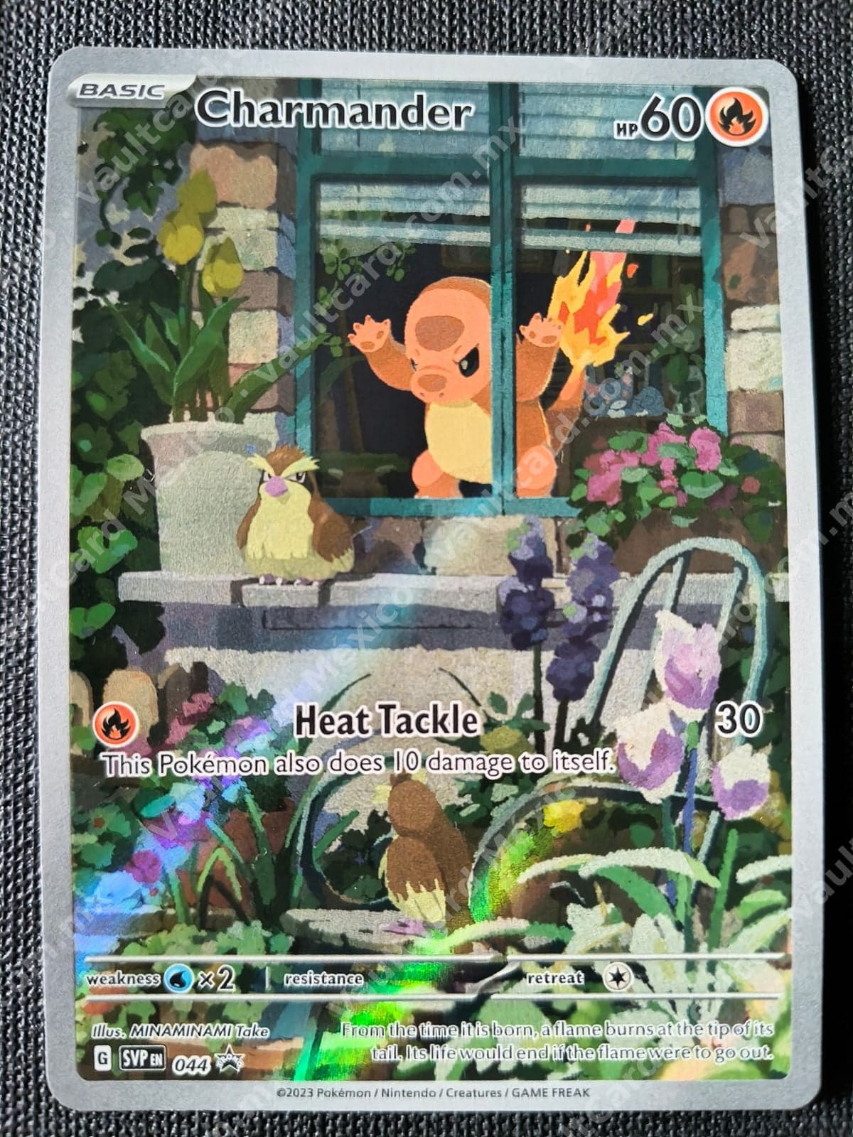 Charmander 044 - Promo SVP EN Inglés (Illustration Rare)