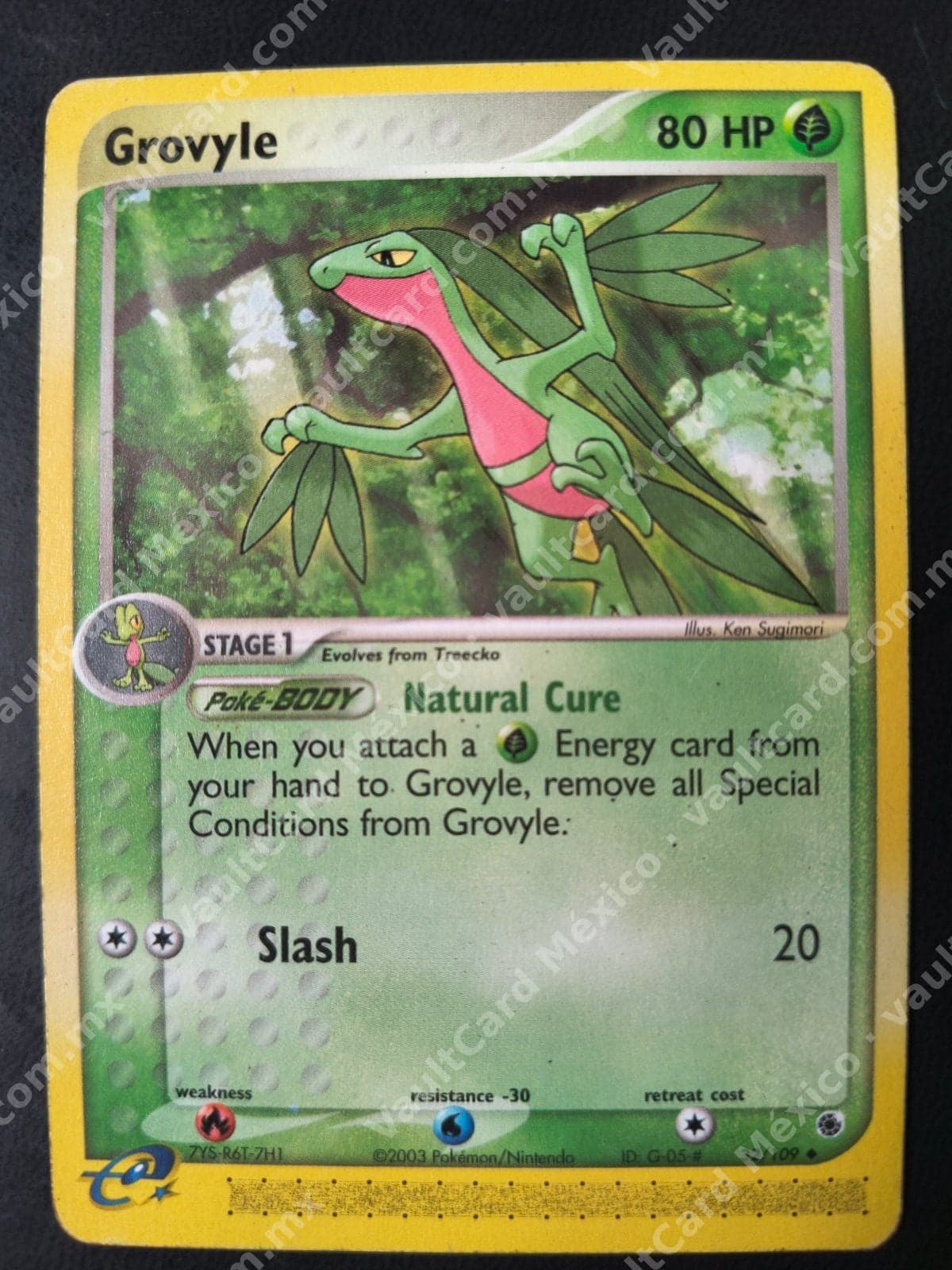 Grovyle 32/109 - EX Ruby & Sapphire Inglés