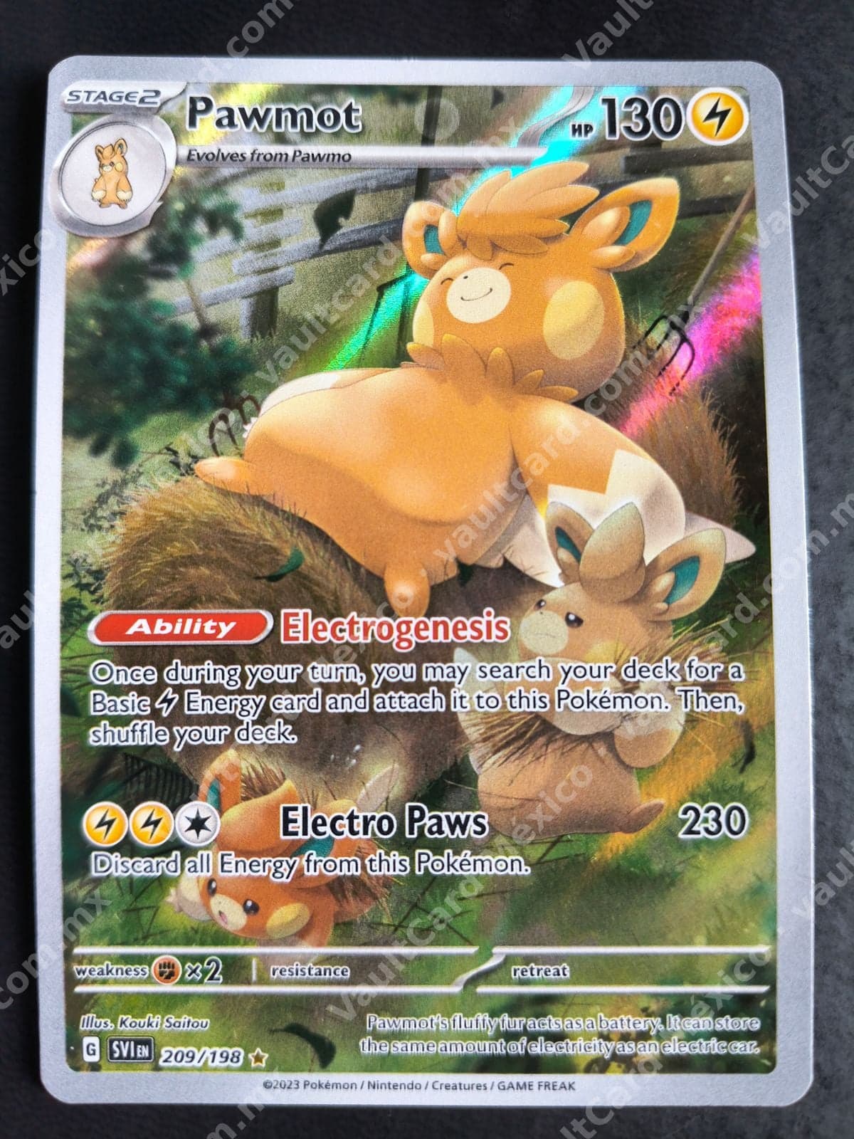 Pawmot 209/198 - (SVI) Inglés - Illustration Rare