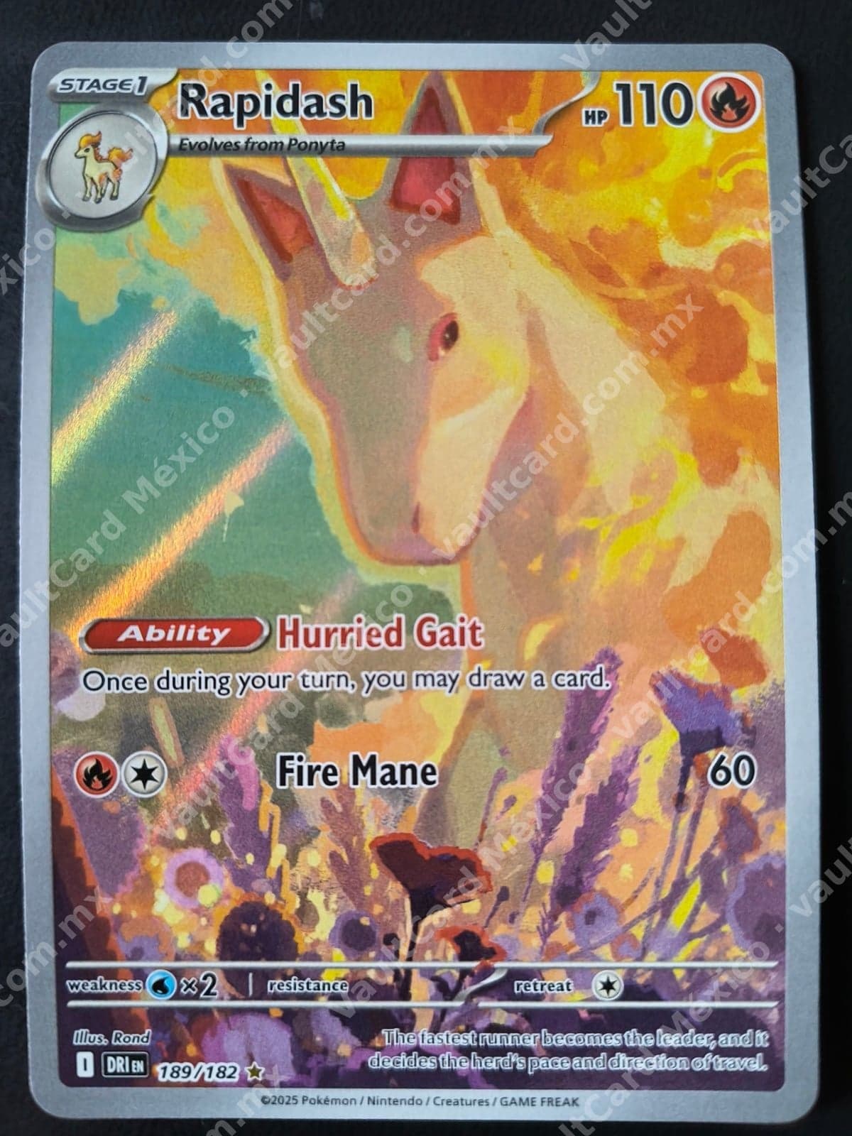 Rapidash 189/182 - (DRI) Inglés - Illustration Rare