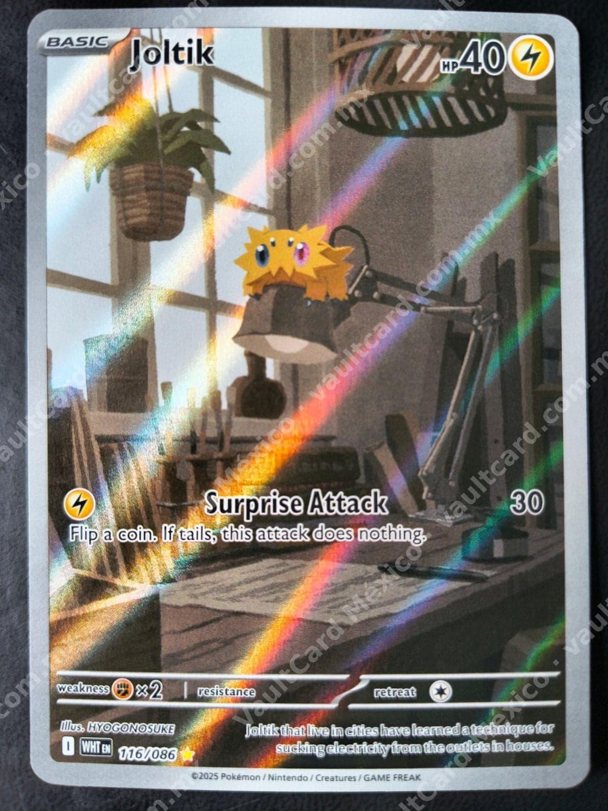 Joltik 116/086 - (WHT) Inglés - Illustration Rare