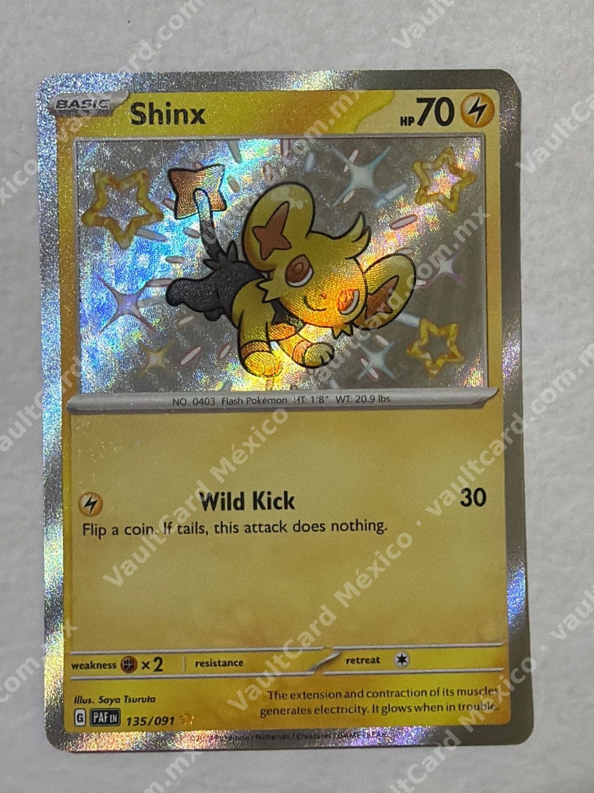 Shinx 135/091 Shiny - (PAF) Inglés