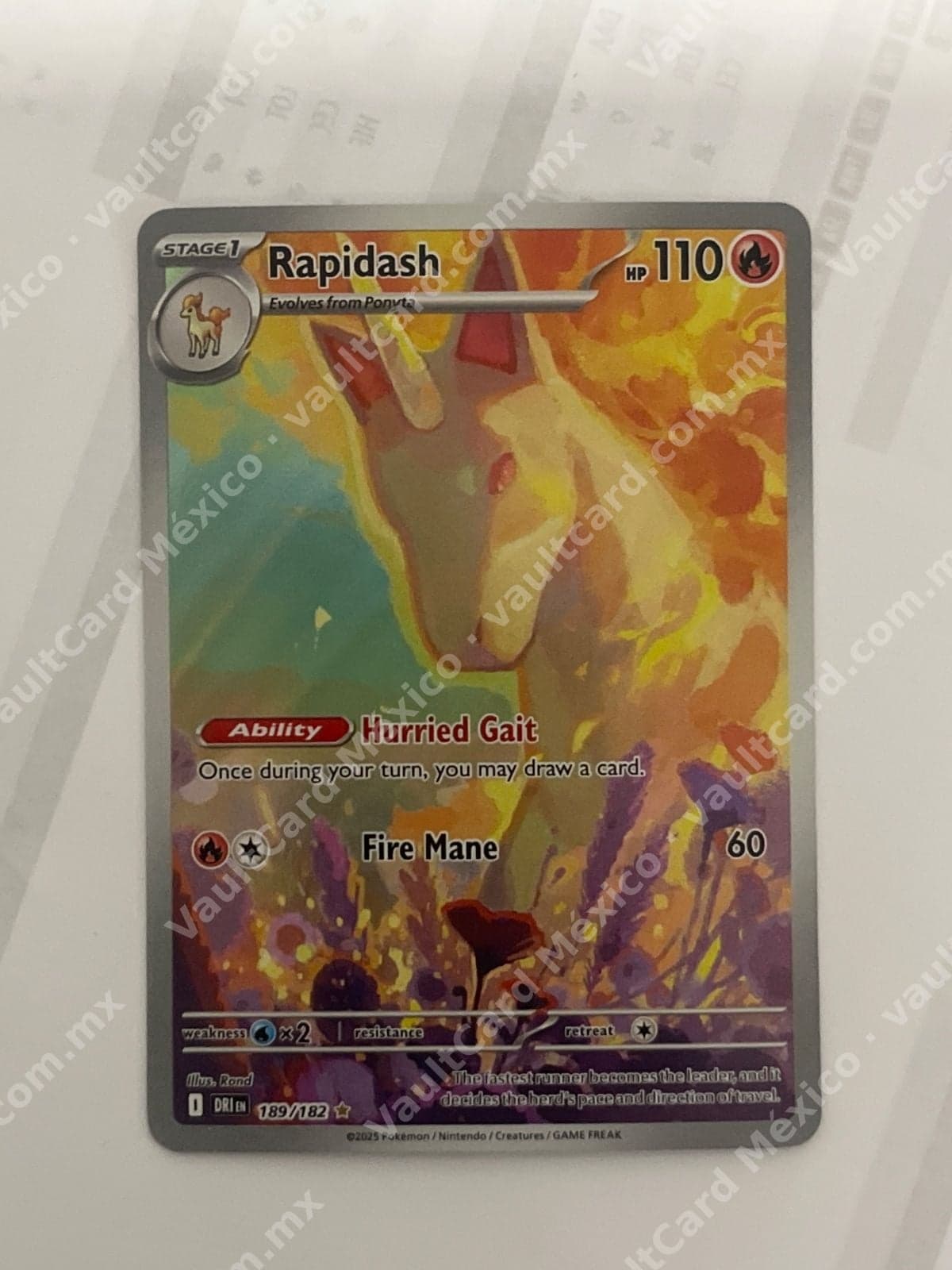 Rapidash 189/182 - (DRI) Illustration Rare Inglés