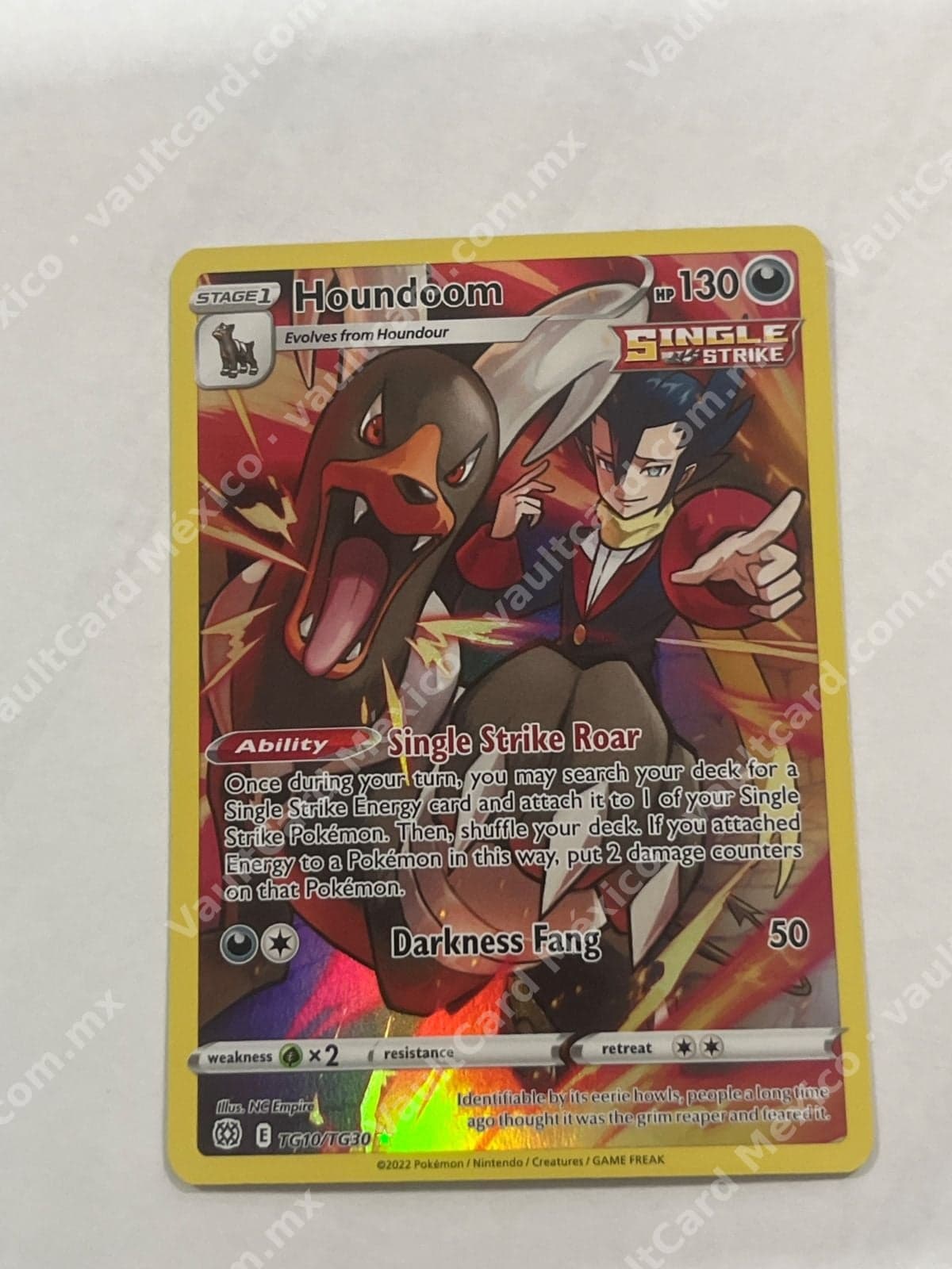 Houndoom TG10/TG30 - Brilliant Stars Trainer Gallery Inglés