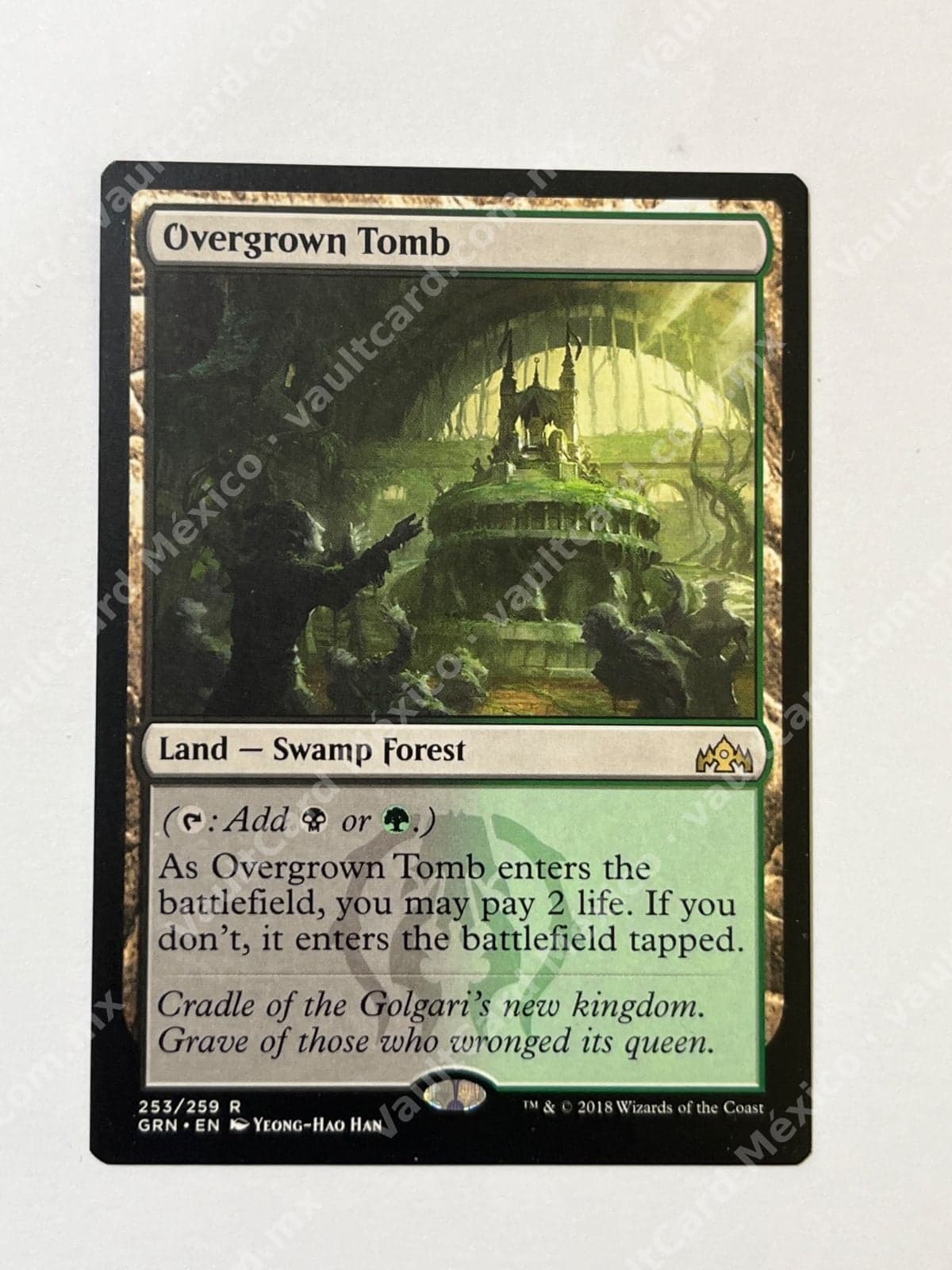 Overgrown Tomb 253/259 - Guilds of Ravnica (GRN) - Inglés