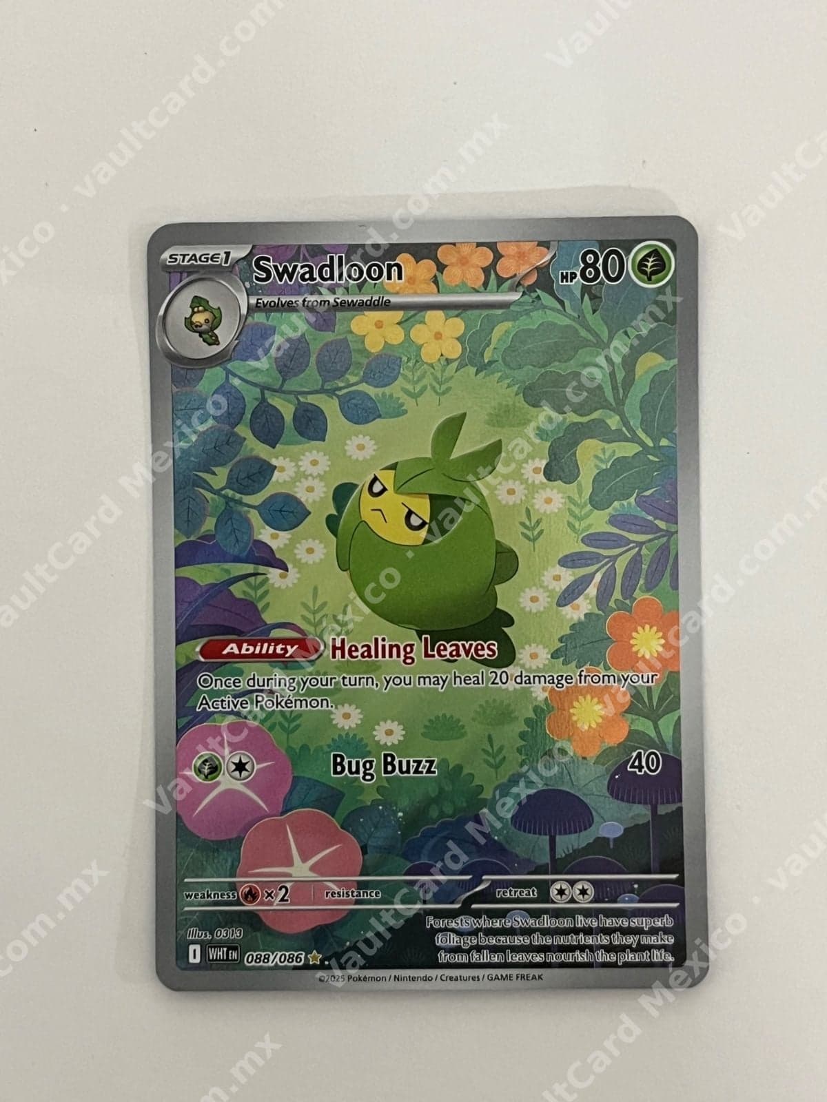 Swadloon 088/086 - (WHT) Inglés - Illustration Rare