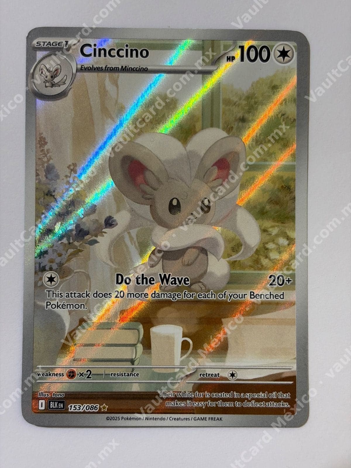 Cinccino 153/086 - (BLK) Inglés - Illustration Rare