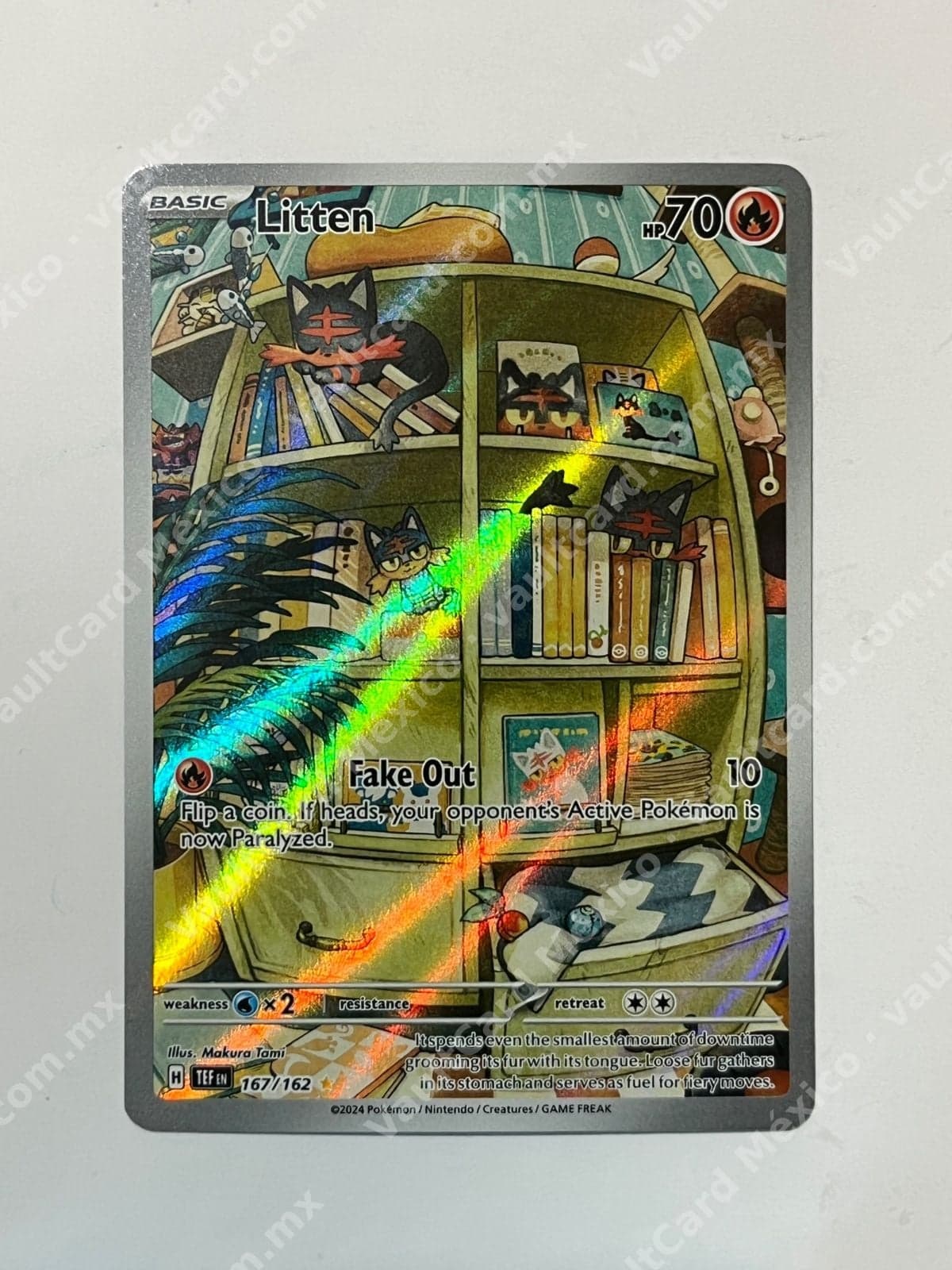 Litten 167/162 - Temporal Forces (TEF) Inglés - Illustration Rare