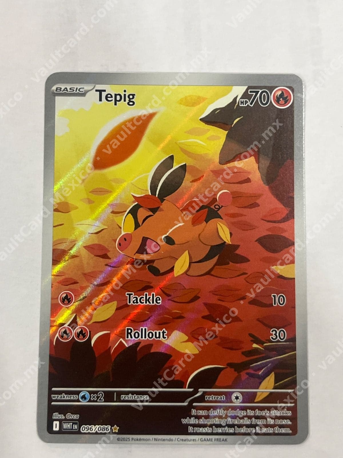Tepig 096/086 - (WHT) Inglés - Illustration Rare