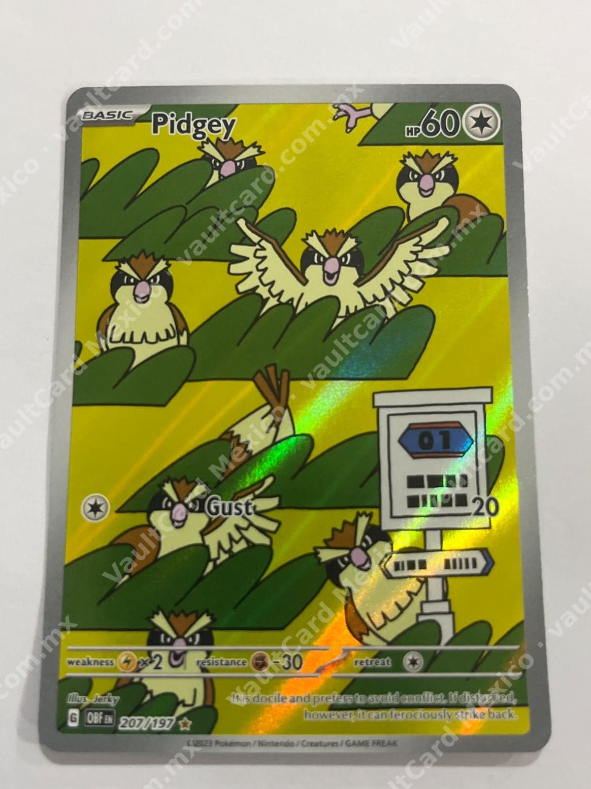 Pidgey 207/197 - Obsidian Flames (OBF) Inglés - Illustration Rare