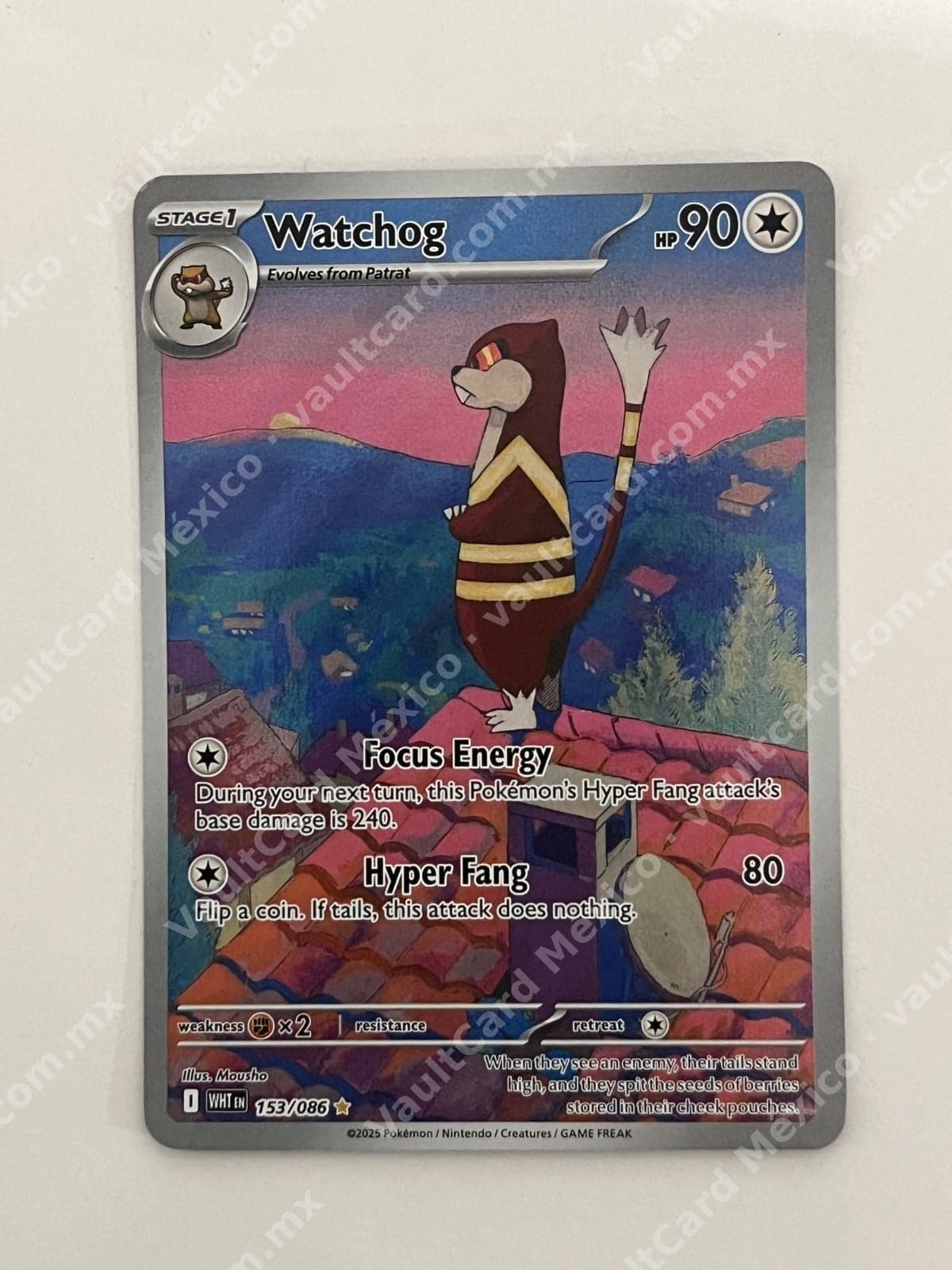 Watchog 153/086 - (WHT) Inglés - Illustration Rare