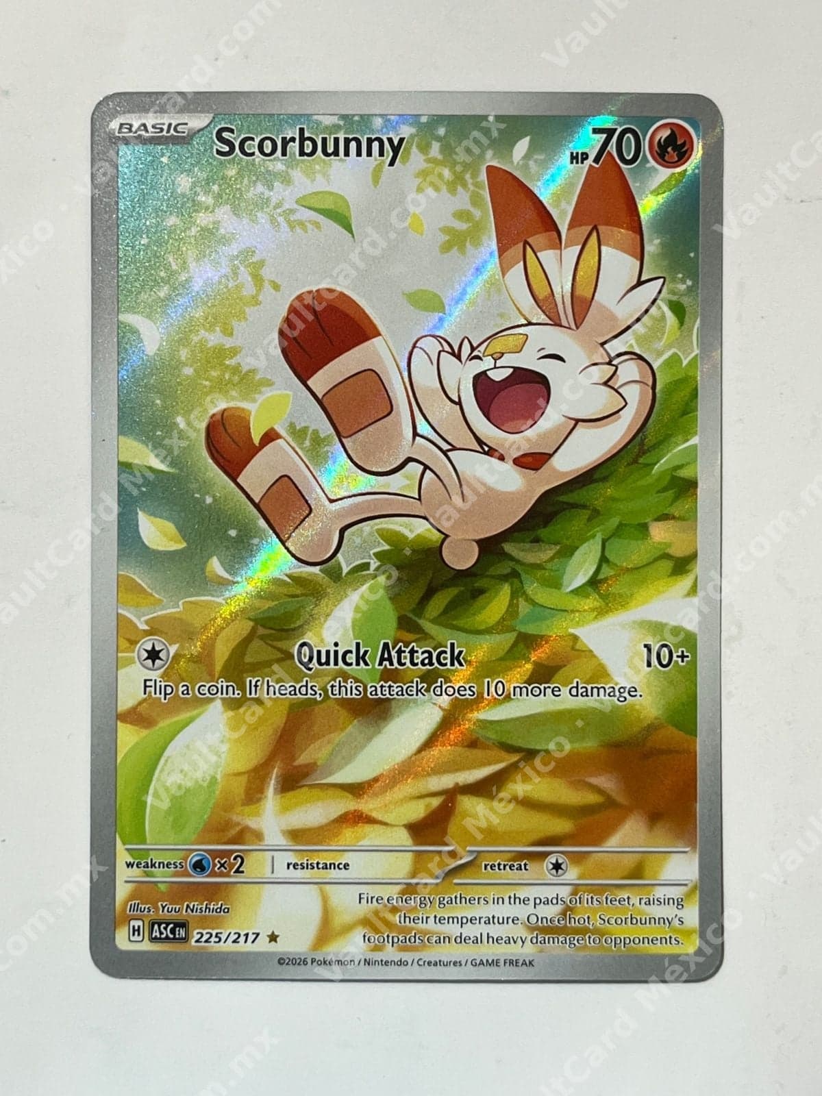 Scorbunny 225/217 - (ASC) Inglés - Illustration Rare