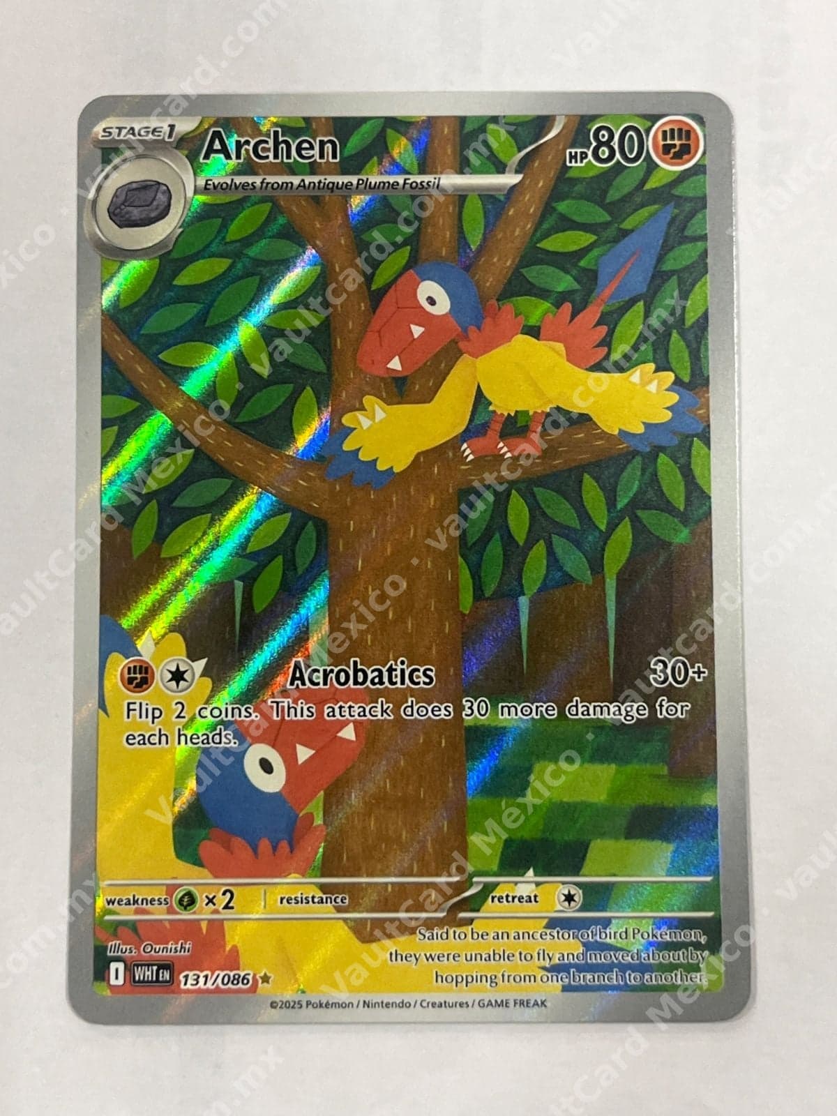 Archen 131/086 - (WHT) Inglés - Illustration Rare