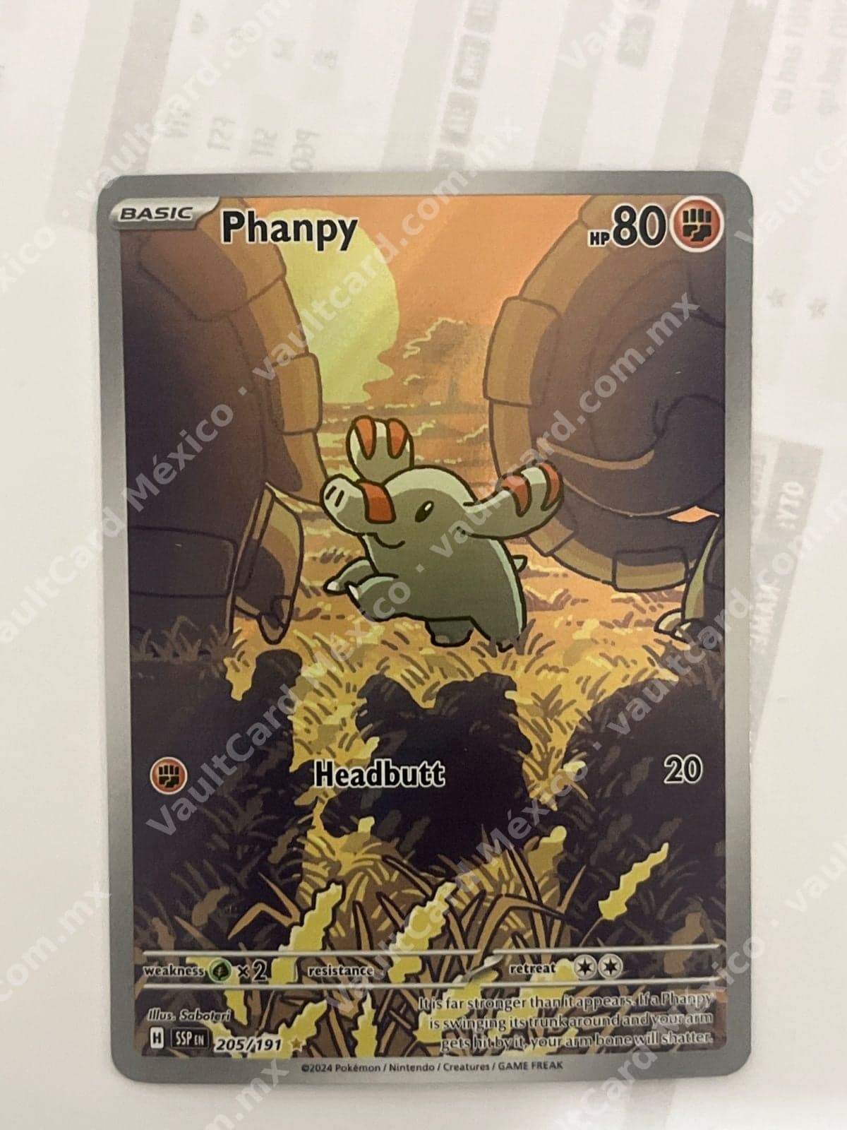 Phanpy 205/191 - Surging Sparks (SSP) Inglés - Illustration Rare