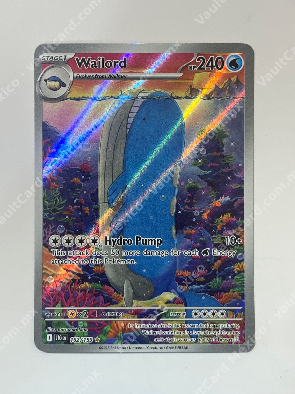 Wailord 162/159 - (JTG) Inglés - Illustration Rare