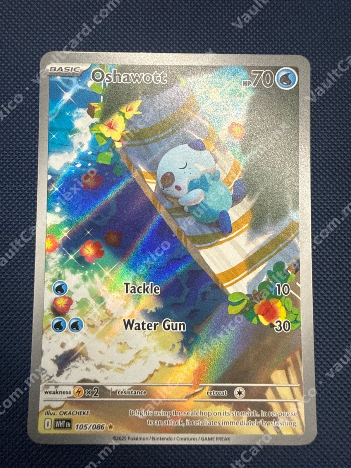 Oshawott 105/086 - (WHT) Inglés - Illustration Rare