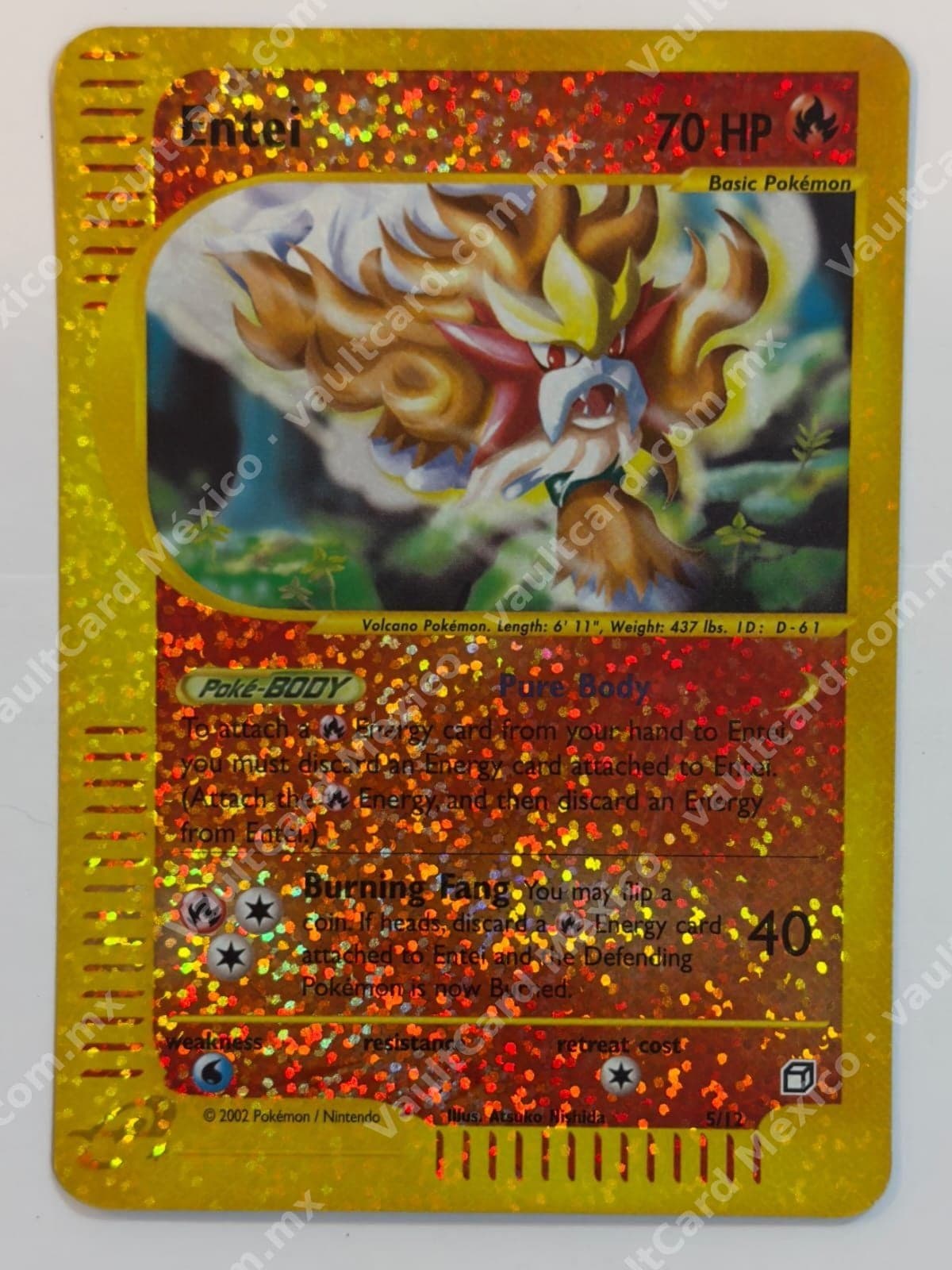 Entei 5/12 Holo - Skyridge Inglés (2002)
