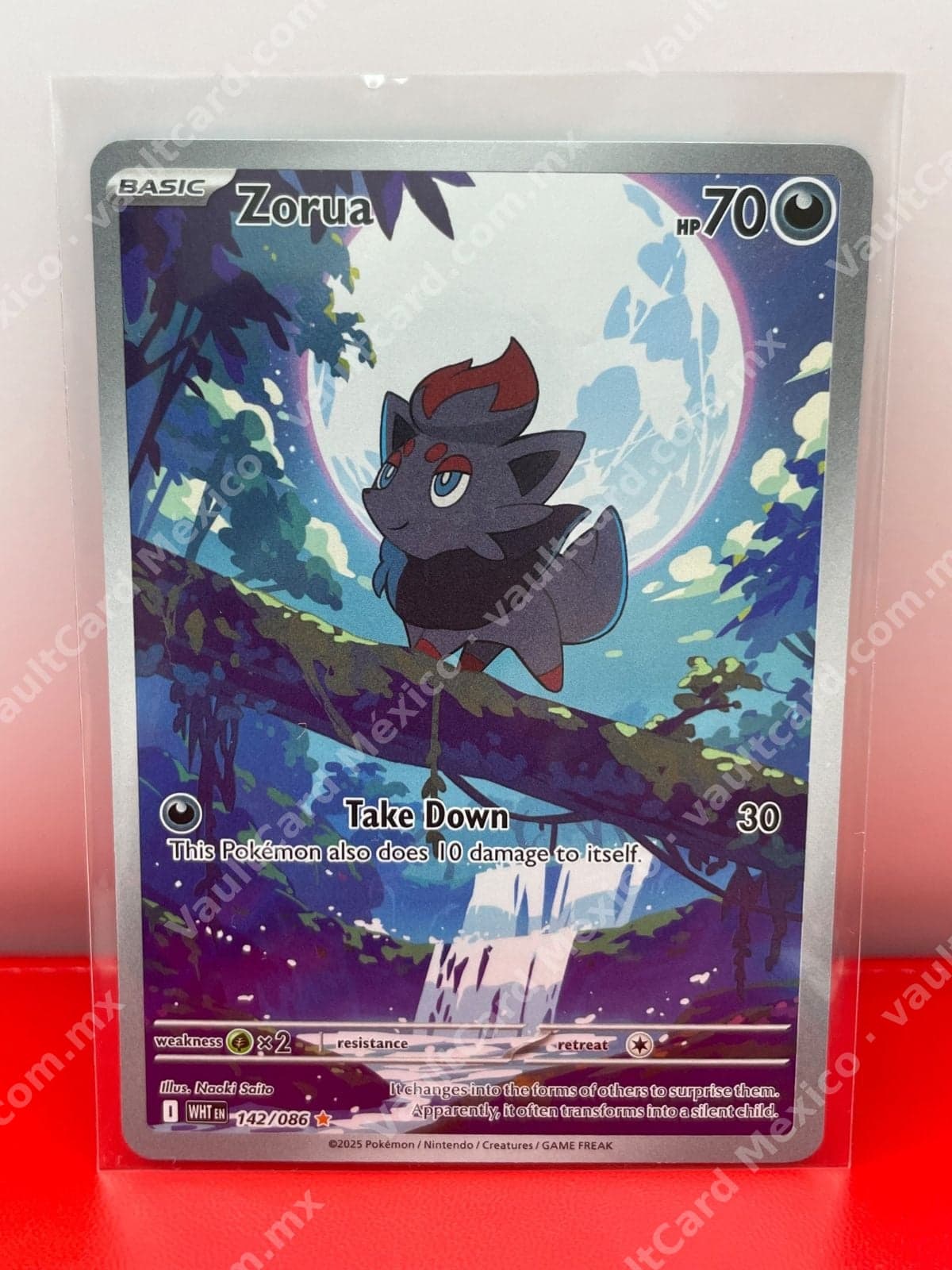 Zorua 142/086 - (WHT) Inglés - Illustration Rare