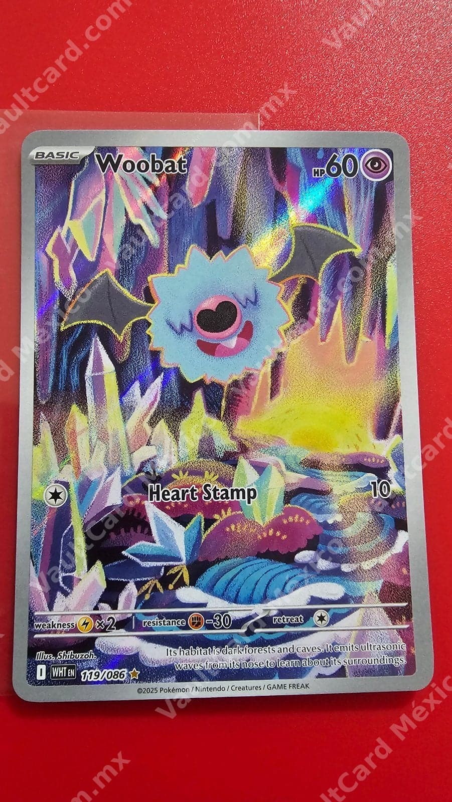 Woobat 119/086 (WHT) Illustration Rare - Inglés