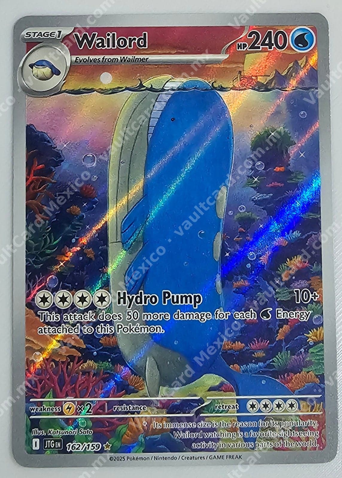 Wailord 162/159 - (JTG) Inglés - Illustration Rare