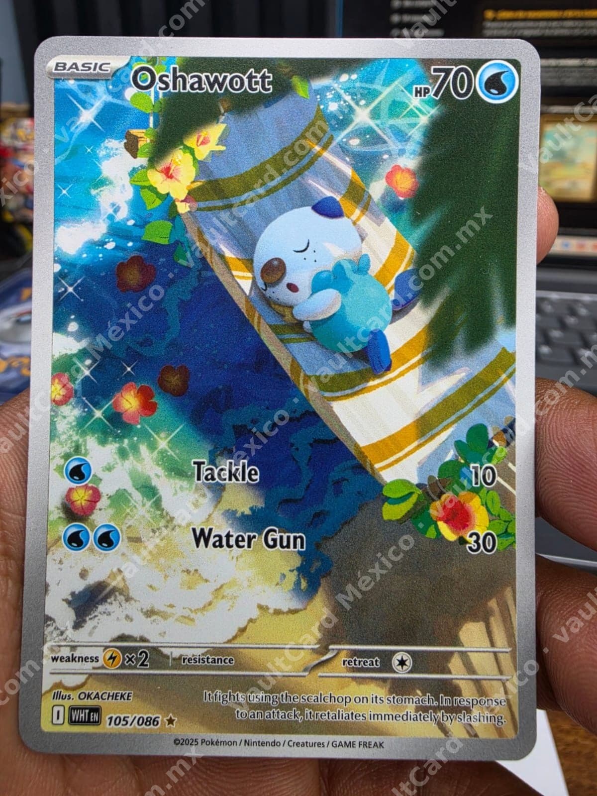 Oshawott 105/086 - (WHT) Inglés - Illustration Rare