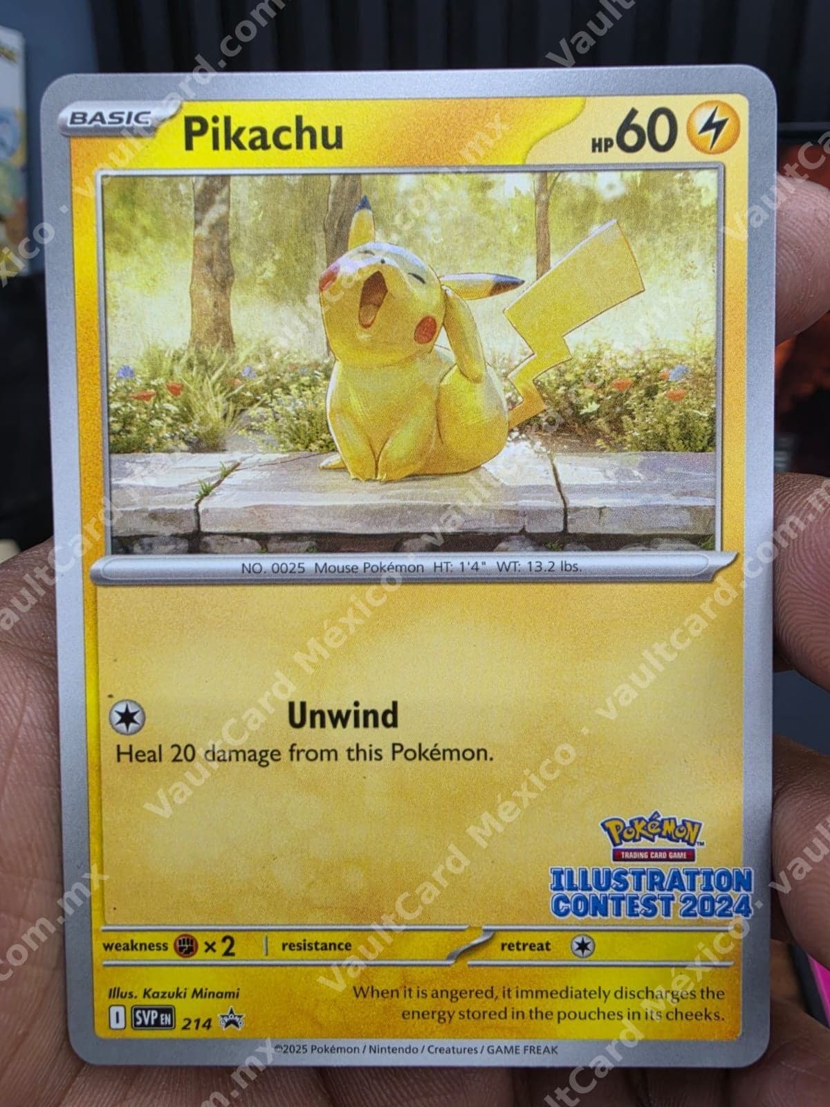 Pikachu 214 Promo SVP - Illustration Contest 2024 Inglés