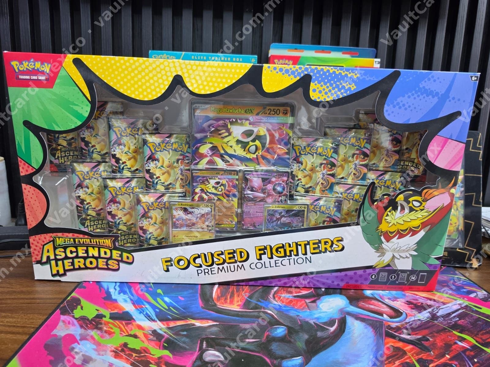 Focused Fighters Premium Collection - Ascended Heroes (ASC) Inglés Sellado