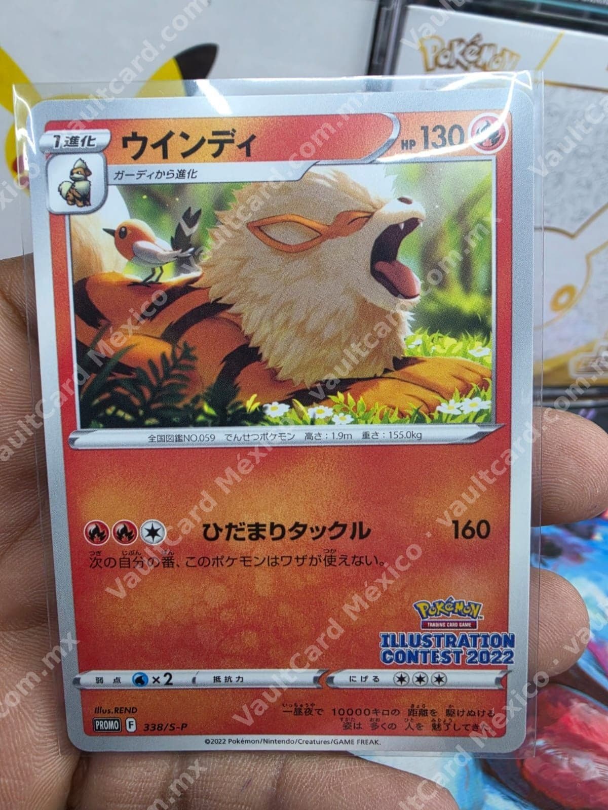 Arcanine (Windie) 338/S-P Promo Illustration Contest 2022 Japonés
