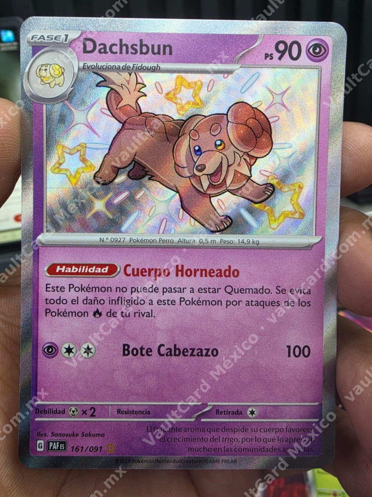 Dachsbun 161/091 - Destinos de Paldea (PAF) Shiny Español
